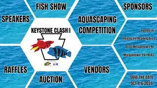 What Is Keystone Clash!?
