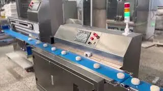 Padding Paper machine  & Tray Arranging Solution for Total Bakery Line Efficiency