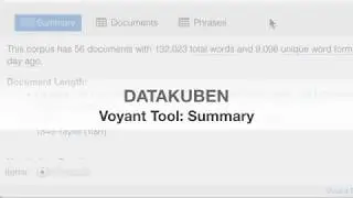 Voyant Tool 08 - Summary