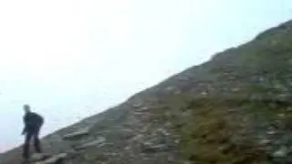 The Trotting Turkey