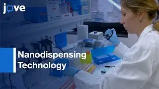 DNA Plasmid Multiplexing and Transfection by Nanodispensing Technology | Protocol Preview