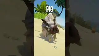 Know your pig types, pirates. #SeaOfThieves #Gaming