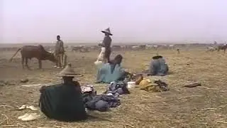 Yaaral e Degaal &agrave; Diafarabe