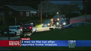 Police Investigating Reported Home Invasion In Shaler Twp.