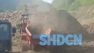 SHD1400-800: Heavy-Duty Wood Processing Machine for Industrial Excellence!