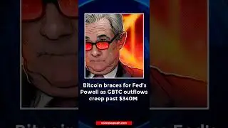 Crypto Market Digest