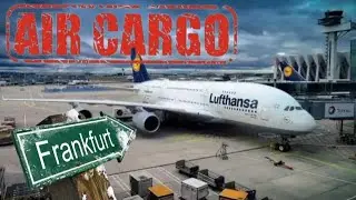 МОЙ ЛЮБИМЫЙ АЭРОПОРТ FRANKFURT#дальнобой #truckdriver #работавевропе #бусомпоевропе #работанабусе 