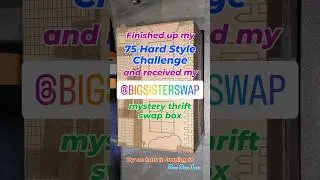 Big Sister Swap mystery thrift box - try on haul! Part 4 of 6 #thrifting #fashion Thrift or Pass