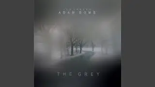 The Grey