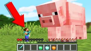 Minecraft but your Health is your Size...