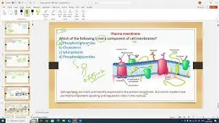 STEMers .. G12 .. Final revision VII   Part 1    2025