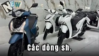 BÁN CÁC LOẠI SH LƯỚT ZIN CÓ MẶT TRÊN ĐỜI