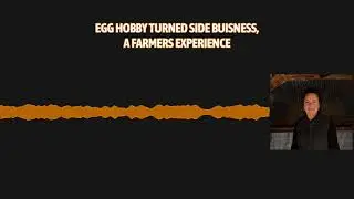 Egg Hobby Turned Side Hustle, A Farmers Experience