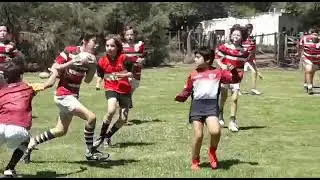 Delta Rugby Cat.2008 a&ntilde;o 2019