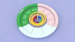 Behaviour Help Cycle: Assessing-Managing-Preventing Behaviours of Concern