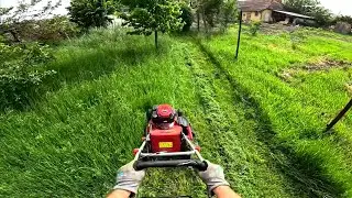POV: Satisfying & Relaxing Lawn Mowing Tall Grass | GoPro ASMR