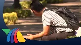 S&iacute;ndrome de la vida ocupada | Noticias de Salud