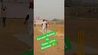 Parveen Raithel Vs Geetu Lehra Mohabat 🏏👌🏏🏏 #shorts