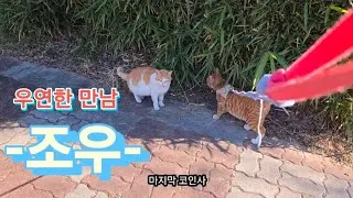 우연한 만남