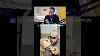 Bro WHATTT 🤢 #share #funny #reaction #react #dog #shorts #food #twitch #trending #trendingshorts