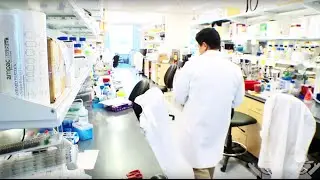 Research at Children's Healthcare of Atlanta