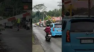 Lalu Lintas Ramai Saat Palang Turun 🚗🚦 | Busy Traffic as Gate Closes #shorts