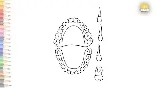 Teeth detailed parts diagram | How to draw teeth diagram step by step | Science drawings | art janag