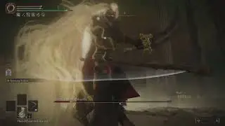 Grave Scythe + Spinning Strikes | no hit | Consort Radahn - Shadow of the Erdtree