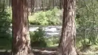Wizard Falls Fish Hatchery - Black Butte, OR