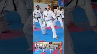 Hand - Sword #karate #piatsko #shuto #shutouke #sensei #shotokan #martialarts #kihon #seminarpiatsko