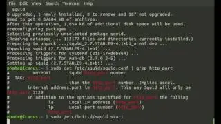 Bypass firewall/site blocking with a transparent proxy! pi can do it!