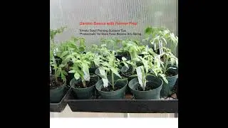 377 Tomato Seed Planting Tips. Rose Pruning Success.