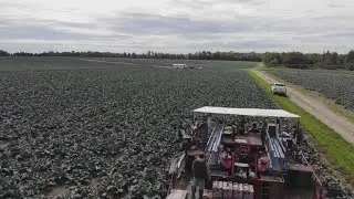 From seed to sale: The legacy and success behind Smith's Farm in Presque Isle