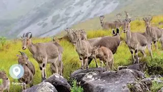 Top 10 Hill stations in Kerala (2020 updated)