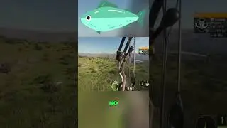 Стрела его сразила? 🐟🐟 #охота #cotw #стрельбаизлука
