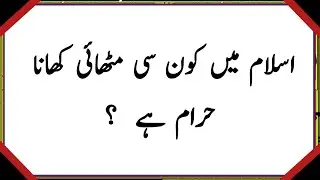 50+ Amazing General Knowledge Question in Urdu |Paheliyan in Hindi |Test our Brain with Zeenat #043 