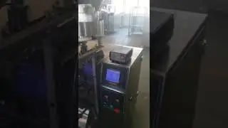 VERTICAL PACKAGING MACHINE FOR GRANULE  JEV-300G