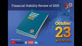 Financial Stability Review of 2025