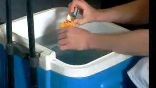 Młodszy tłok - WiadroxD
