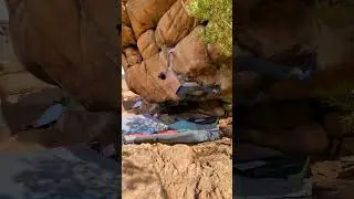 Swallow Cave 🐦&zwj;⬛ - 8 day rain - Rocklands #bouldering