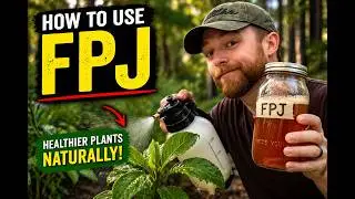 How to use FERMENTED PLANT JUICE | Finishing FPJ