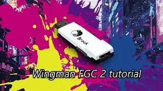 Wingman FGC 2 | Tutorial Video