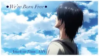 We're Born Free // Attack on Titan AMV