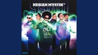 Sun Goes Down (feat. Adeaze, Indira Moala, MC ARME, MC Silva & Three Houses Down)