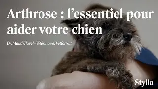 Comment les nutriments aident &agrave; soulager l&rsquo;arthrose du chien | Dr Maud Clavel, v&eacute;t&eacute;rinaire
