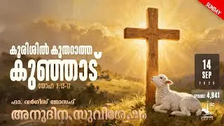 Feast of the Exaltation of the Holy Cross | Daily Gospel Reflection Malayalam Sunday Sep 14