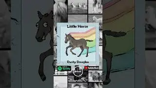 Little Horse [Official Music Video] - Dusty Douglas