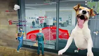 Fun with random players in MadoutBCO | madout2bco #madout2 