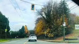 Autumn Road in Canada 🍁 🍁 || Fall Foliage Drive || Eye Catering View 🍂😍😍❤️🍂#autumn #canada #maple 