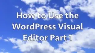 How to Use the WordPress Visual Editor Part 1